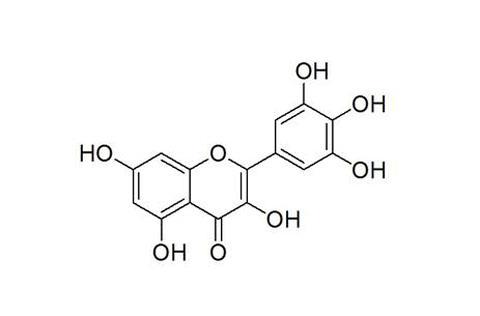 中國科學(xué)家發(fā)現(xiàn)楊梅素可促進造血