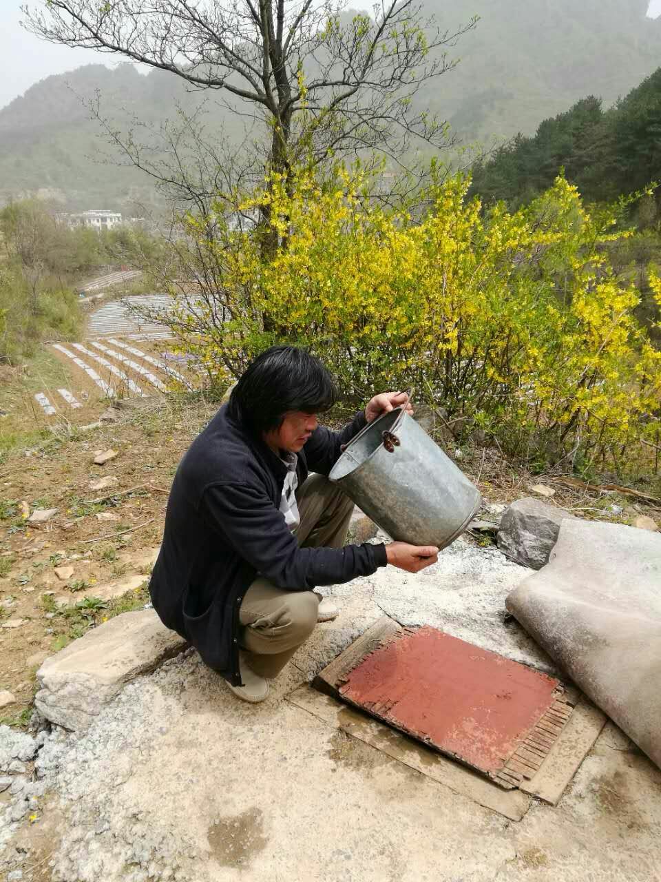 母親，您別再騙我……靳軍榆樹溝寫生日志