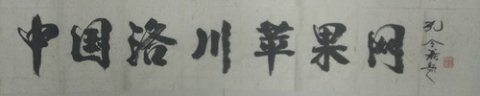 孔令義將軍為中國洛川蘋果網(wǎng)題字