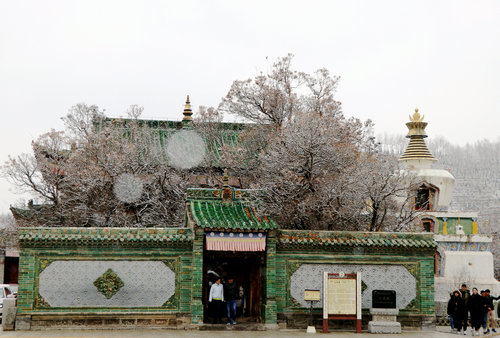 雪游塔爾寺：感受佛教圣地別樣的魅力