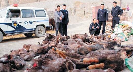 國家林草局等五部門共同開展打擊野生動物違規(guī)交易專項執(zhí)法行動