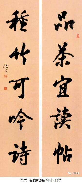 硬壇傳記沈鴻根——《中國(guó)篆刻 · 鋼筆書(shū)法》雜志專(zhuān)訪著名書(shū)法家沈鴻根（江鳥(niǎo)）