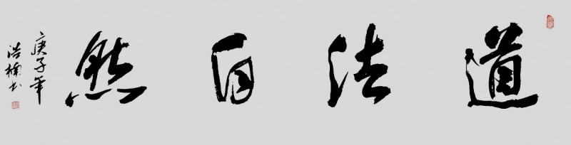 李浩楠書法作品——眾志成城 抗擊肺炎主題網(wǎng)絡(luò)書畫攝影展優(yōu)秀作品