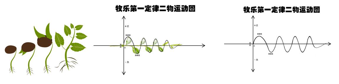 關(guān)于宇宙形狀、空間、時(shí)間、生命體的討論與五個(gè)猜想