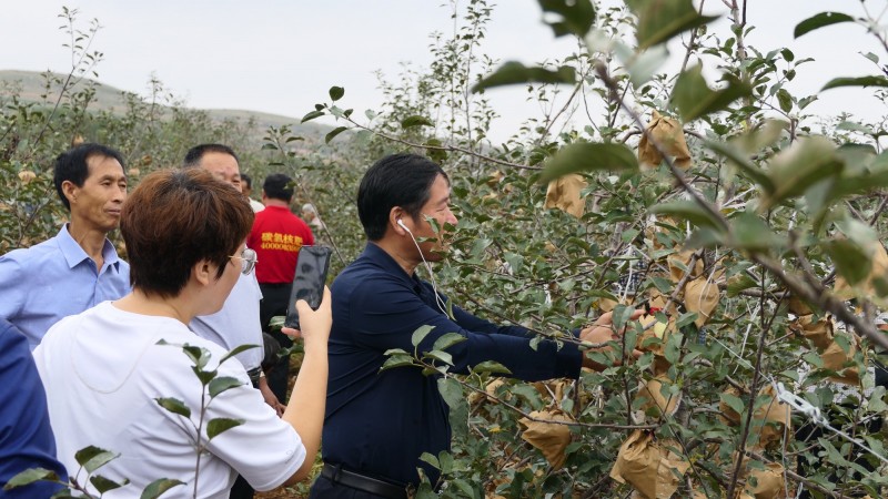 2021煙臺(tái)碳?xì)浜朔驶赜^摩交流會(huì)在海陽市召開