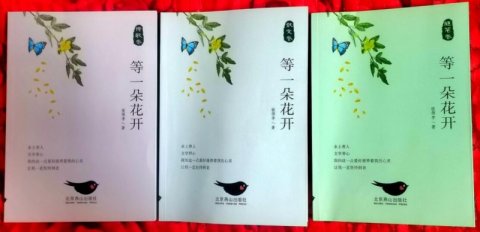 《清雅無(wú)華入夢(mèng)懷》——本溪新銳詩(shī)人PeterLee詩(shī)集欣賞