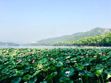 遐想夏韻 文： 李建東